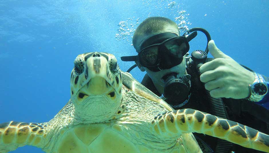 Picture of scuba diving in cancun with a turtle